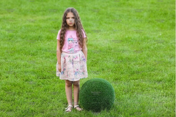 Топиари шар в виде куста туи, 40 см - газон Eco | Заказать и купить с доставкой