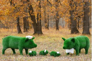 Топиари композиция семья свинок Хрюшевиц - газон Eco 