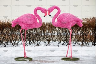 Топиари композиция фламинго, Бриджит, 2 шт - газон Eco