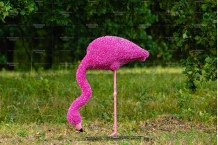 Топиари фламинго розовый, пьет - газон Eco