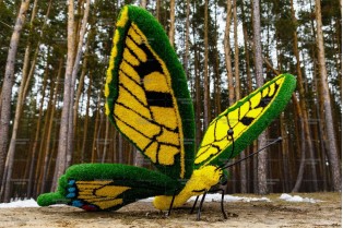 Топиари бабочка Искорка - газон Eco
