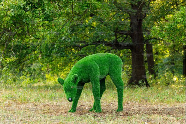 газон в форме животных