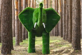 Топиари слон Барон - газон Premium