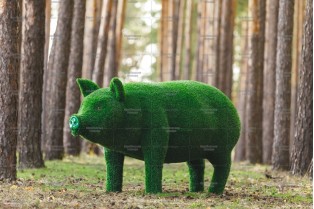 Топиари свинка мама - газон Eco