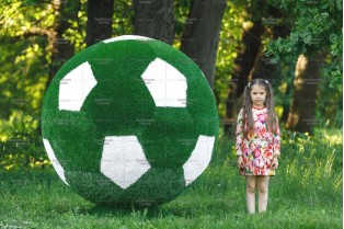 Топиари мяч футбольный - газон Eco