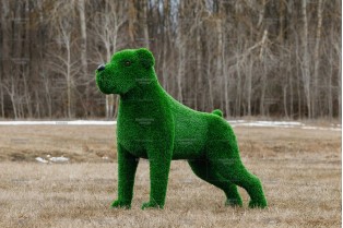 Топиари собака Баскервиль - газон Eco