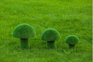 Топиари гриб белый, размер L - газон Eco