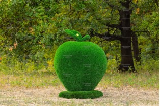 Топиари яблоко - газон Eco