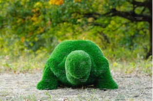 Топиари черепаха с кашпо, Мантра - газон Eco
