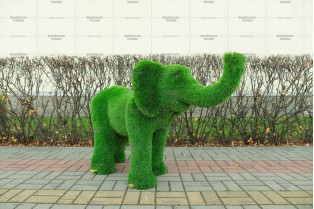 Топиари слон Патрик - газон Deluxe