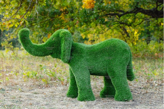 слон из зеленой травы