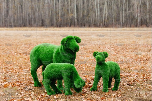 фигуры животных из искусственной травы саратовской области