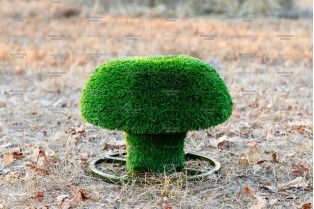Топиари гриб сыроежка, размер S - газон  Deluxe
