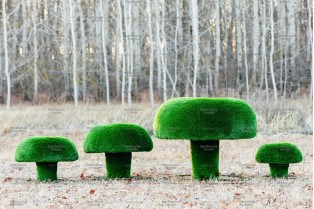 Топиари гриб сыроежки, размер XL - газон  Deluxe