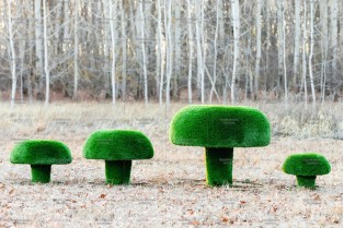 Топиари композиция грибы сыроежки - газон  Deluxe