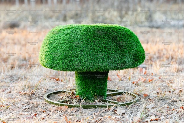 купить топиар фигура композиция "грибы"