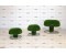 Топиари композиция грибы сыроежки, набор №1 - газон Deluxe