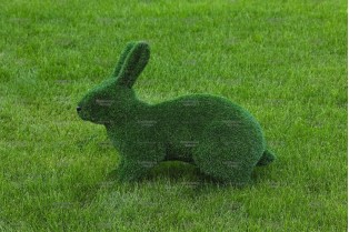 Топиари композиция зайцы, 5 штук - газон Eco 