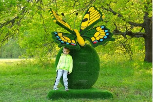 Топиари композиция бабочка на яблоке Гренни - газон Eco Green + Eco