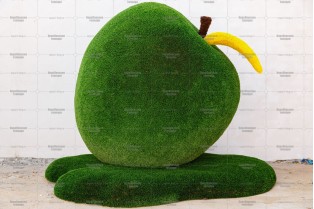 Топиари яблоко Розмарин - газон Deluxe + Eco