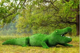 Топиари крокодил Нельсон - газон Eco + Green Eco