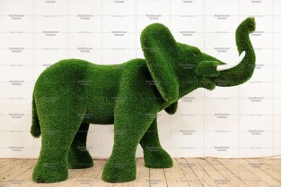 Топиари слон Абхей - газон Deluxe