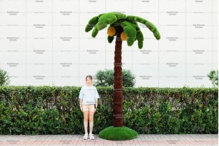 Топиари пальма средняя, кокосовая, h=300см - газон Deluxe + Eco
