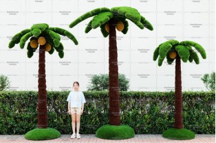 Топиари композиция пальмы, кокосовые - газон Deluxe + Eco