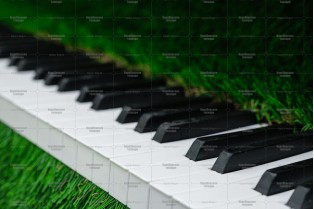 Топиари композиция рояль c логотипом и пуфом - газон Deluxe