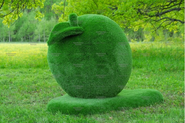 Топиари яблоко Гренни - газон Eco Green | Заказать и купить с доставкой