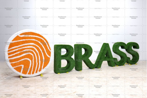 Топиари композиция логотип  и буквы BRASS - газон Есо | Заказать и купить с доставкой