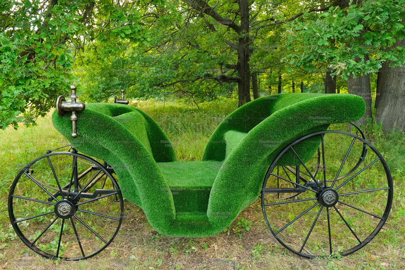 Топиари карета - газон Есо Топиари карета - газон Есо