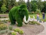 Топиари мамонт Фужди, h=250 см - газон Eco
