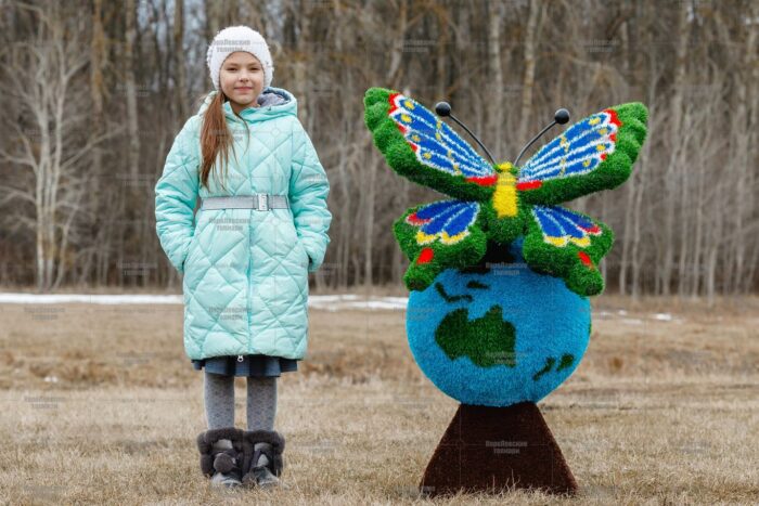 Топиари композиция бабочка Лайза на земном шаре - газон Eco