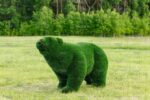 Топиари медведь Греча h=135 см - газон Deluxe Green