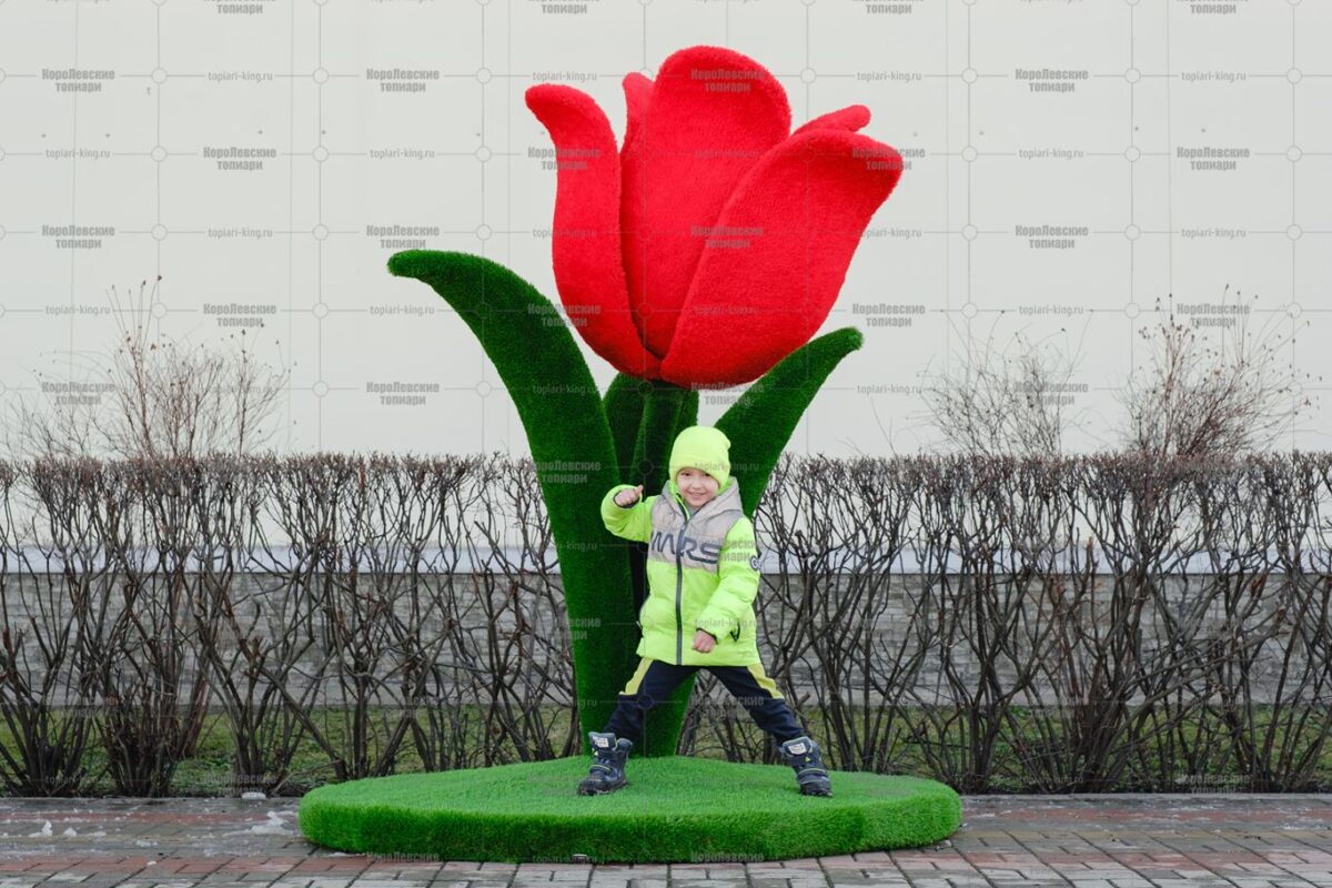Топиари цветок тюльпан, h=190 см-газон Eco