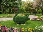 Топиари Лебедь с кашпо - газон Eco