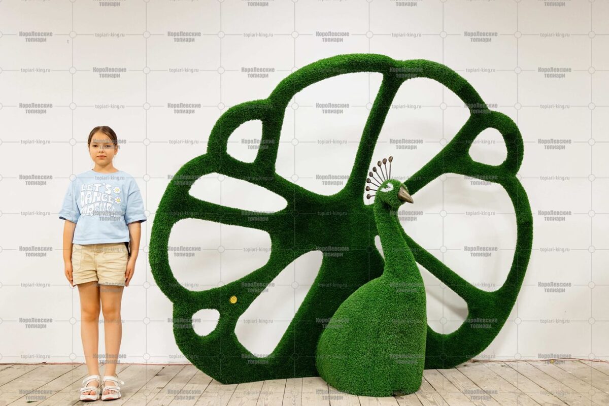 Топиари павлин королевский, h=190 см- газон Deluxe