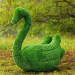 Топиари лебедь Чепелия - газон Eco Green