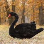 Топиари лебедь черный  Блэк - газон Eco