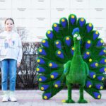 Топиари павлин Григориан, h=155 см-- газон Eco