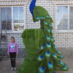 Топиари павлин Корица - газон Premium