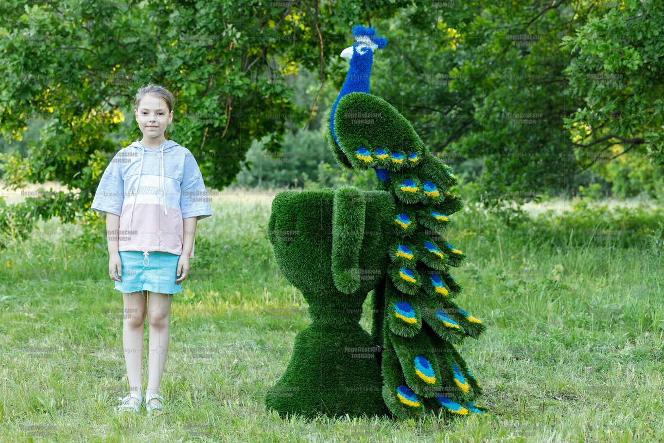 Топиари композиция павлин на вазоне - газон Deluxe Топиари композиция павлин на вазоне - газон Deluxe