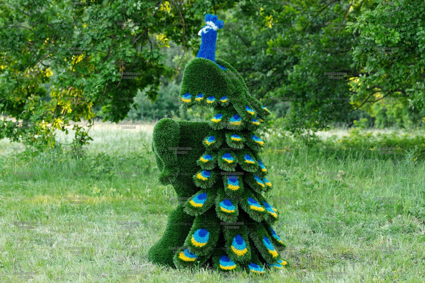 Топиари композиция павлин на вазоне - газон Deluxe Топиари композиция павлин на вазоне - газон Deluxe