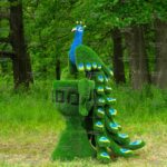 Топиари композиция павлин на вазоне греческом - газон Eco