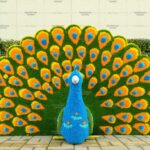 Топиари павлин радужный - газон Eco