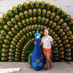 Топиари павлин радужный Мелани - газон Eco