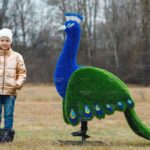 Топиари павлин, основа композиций - газон Eco