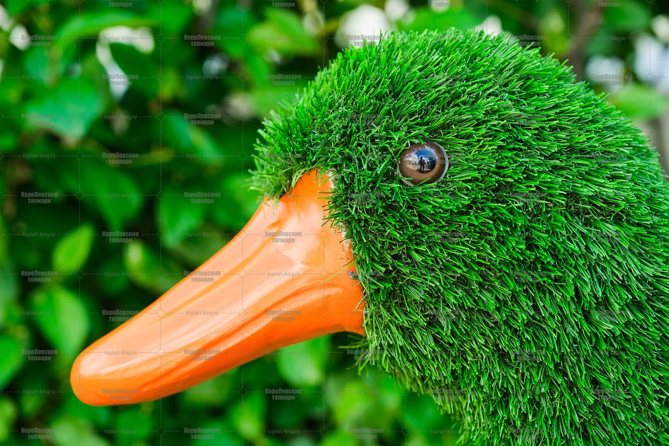 Топиари утка Кряша - газон Eco Топиари утка Кряша - газон Eco