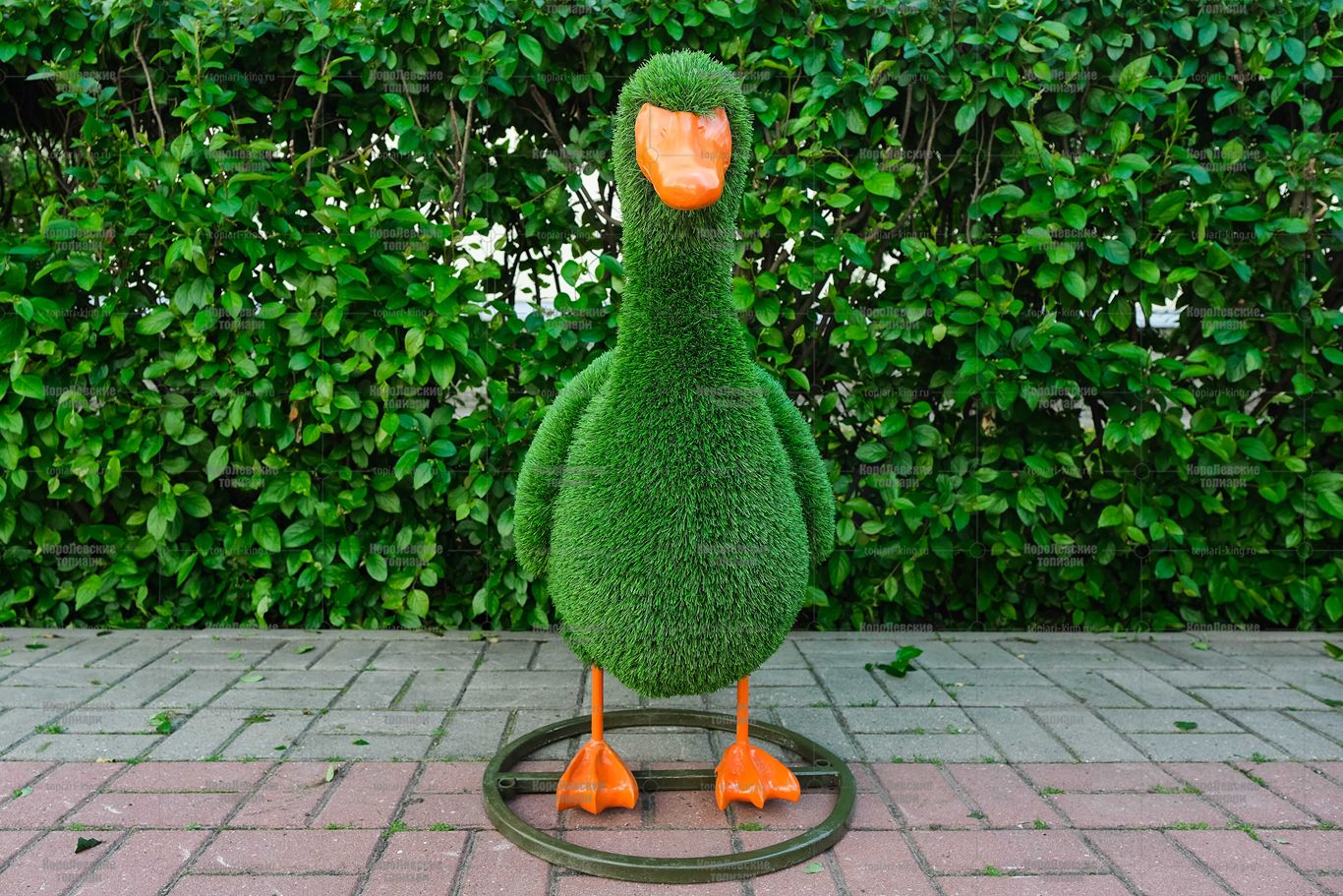 Топиари утка Кряша - газон Eco Топиари утка Кряша - газон Eco